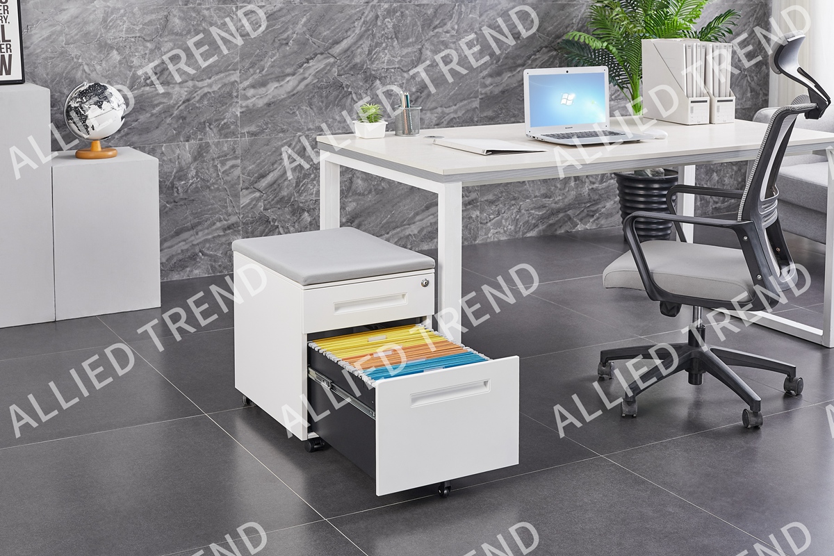 White Two-Drawer Pull Inset Handle Mobile Cabinets AT-MP-05